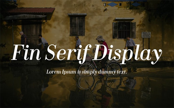 Fin Serif Display Font Family Free Download
