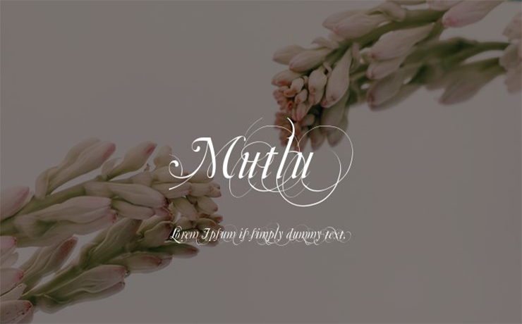 Mutlu Font Family Free Download