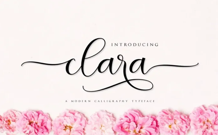 Clara Font Family Free Download