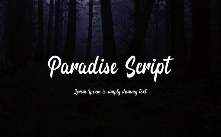 Paradise Script Font Family Free Download