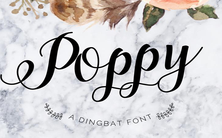 Poppy Script Font Family Free Download