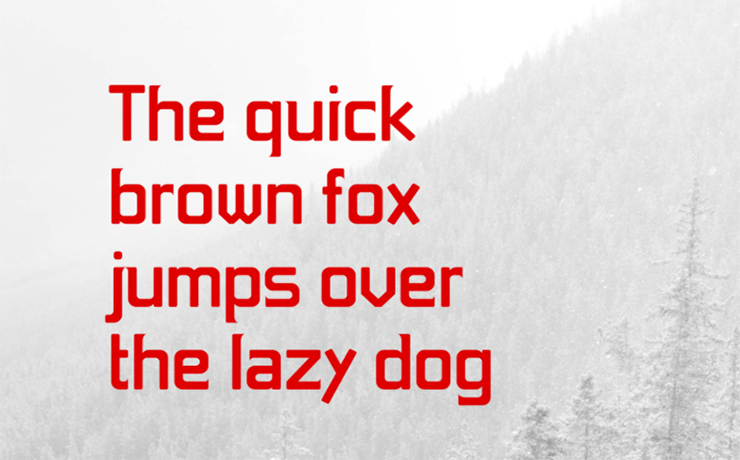 Foxy Font Family Download