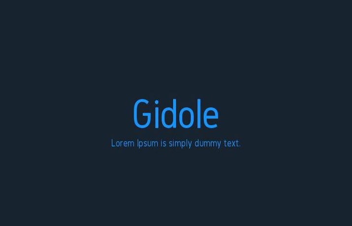 Gidole Font Family Free Download