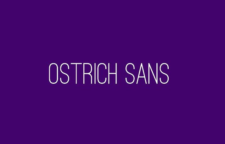 Ostrich Sans Font Family Free Download