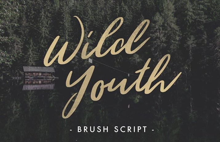 Wild Youth Font Family Free Download