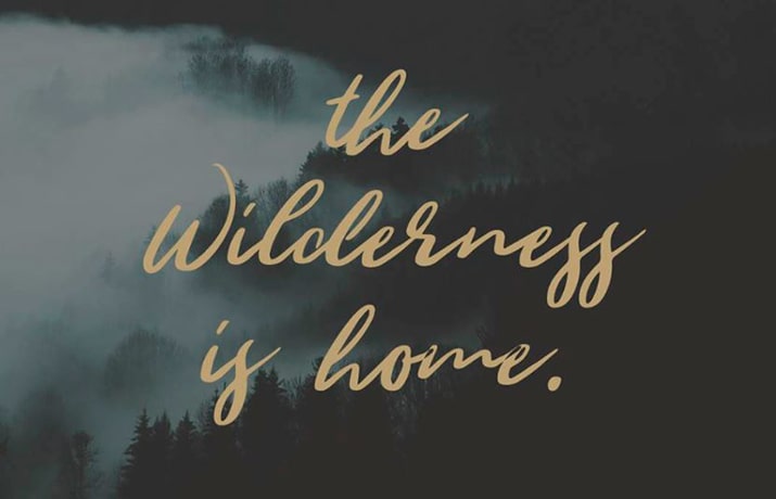 Wild Youth Font Free Download