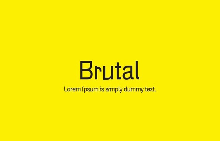 Brutal Font Family Free Download