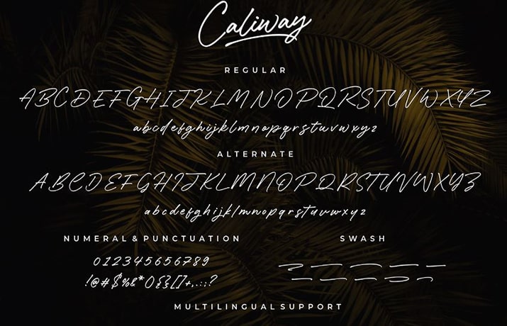 Caliway Font Free Download