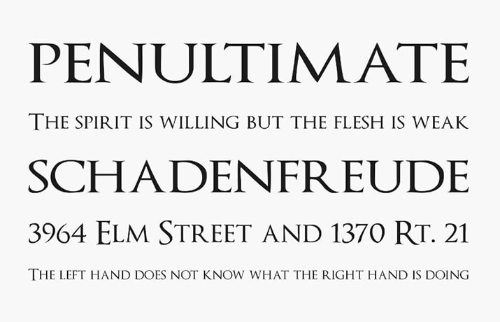 Optimus Princeps Font Family Download