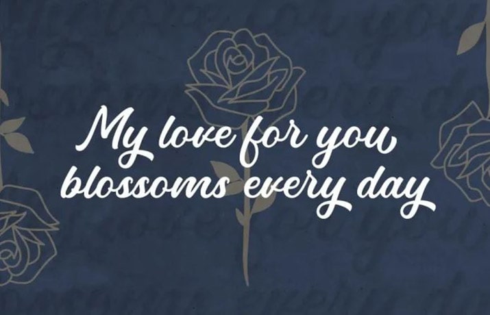 Victoria Font Family Download