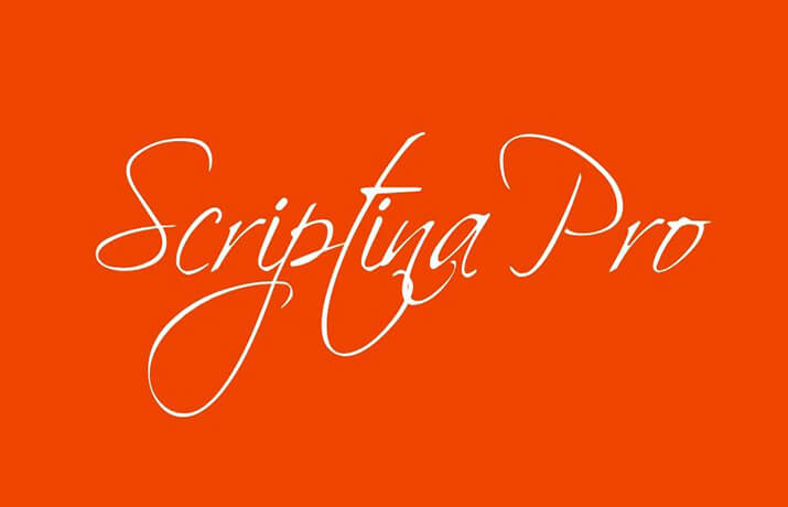 Scriptina Pro Font Family Free Download