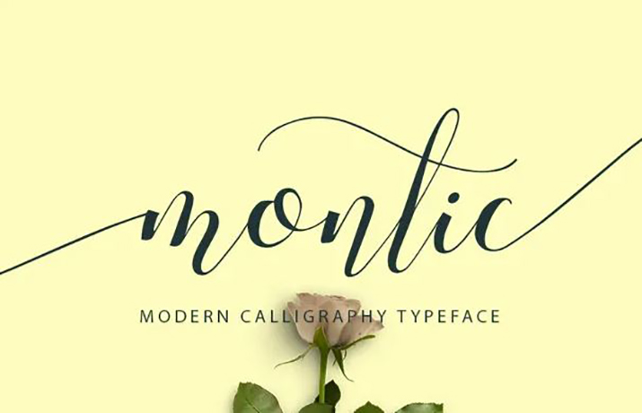 Montic Script Font Family Free Download