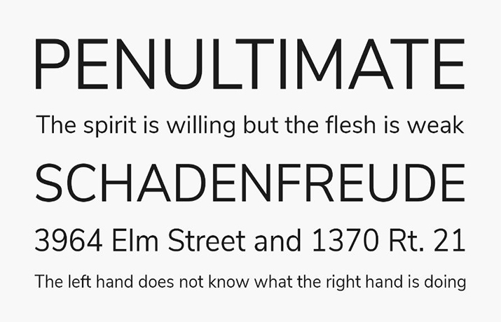 Nunito Sans Font Family Download