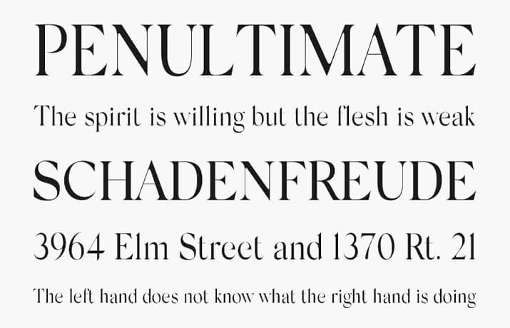 Silk Serif Font Family Download