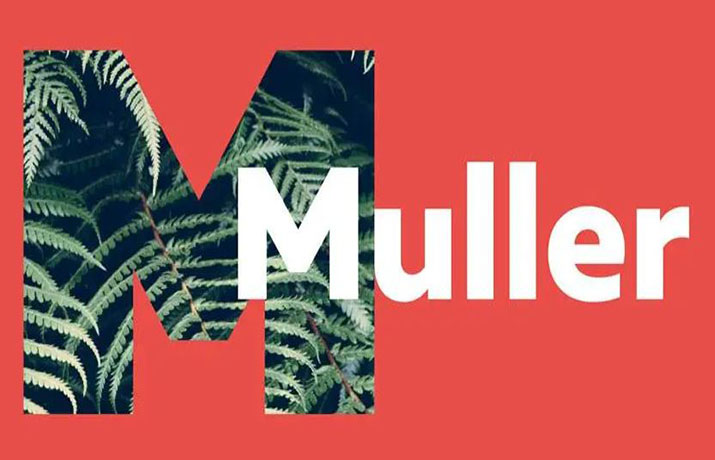 Muller Font Family Free Download