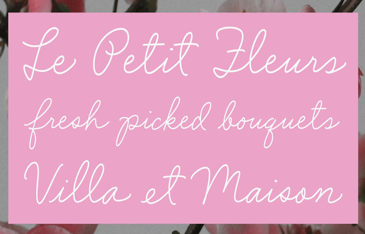 Said in Script Bold Font Family Download