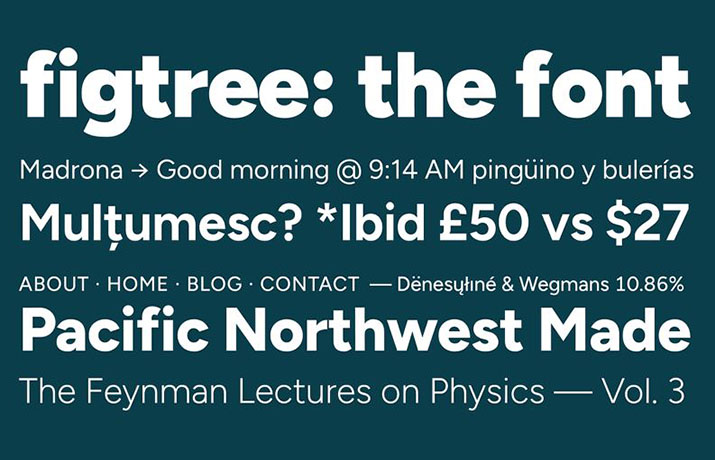 Figtree Font Free Download