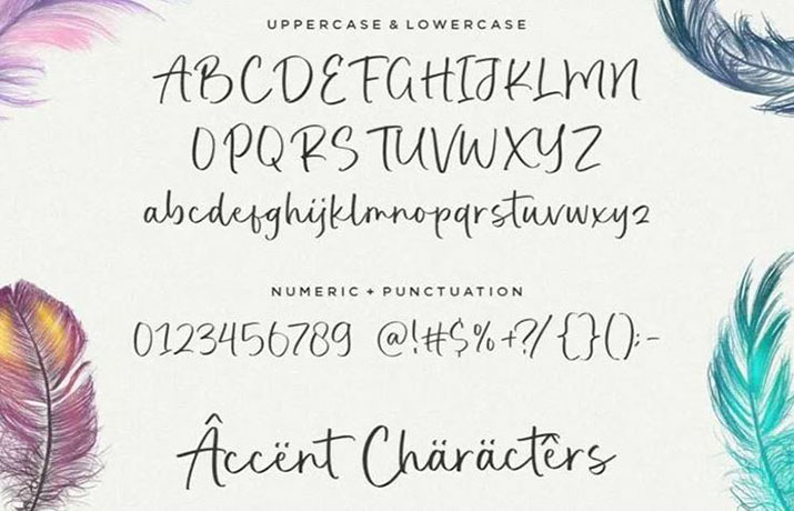 Realistic Feather Font Family Download
