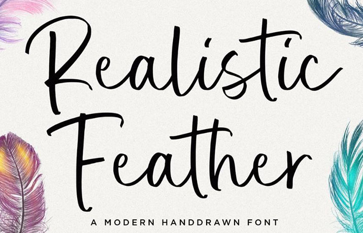 Realistic Feather Font Family Free Download