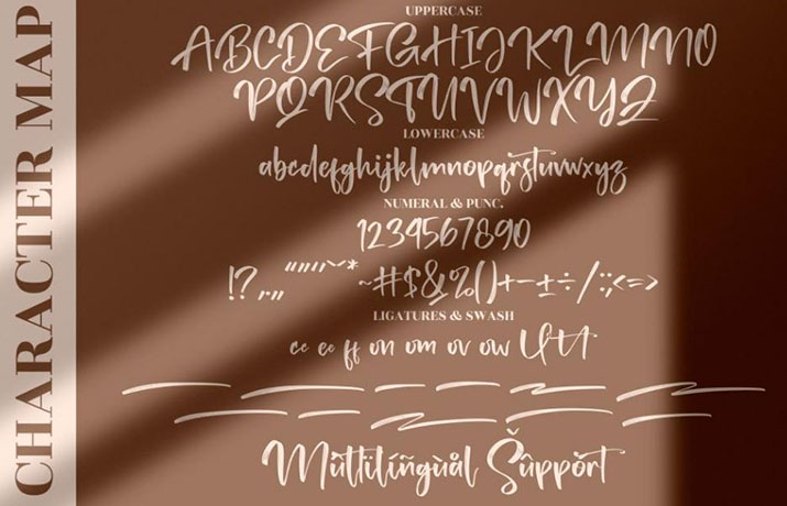 Tedy Brush Font Family Download