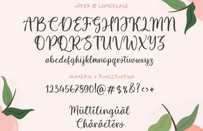 White Apricot Font Family Download