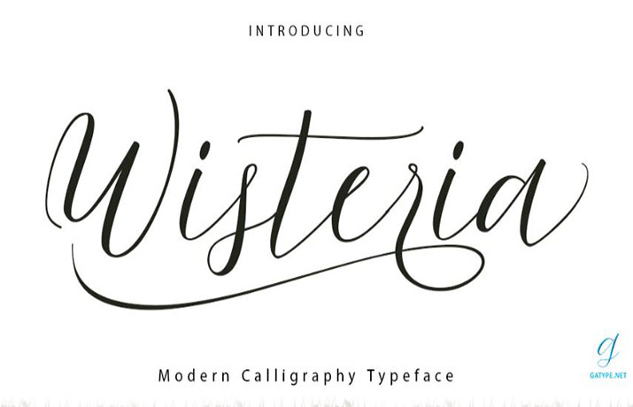 Wisteria Script Font Family Free Download