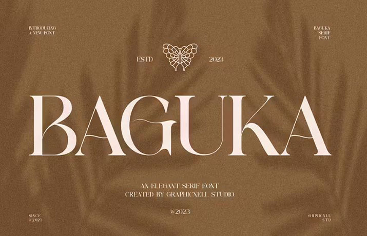 Baguka Font Family Free Download