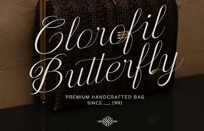 Delighted Sunrise Font Family Download