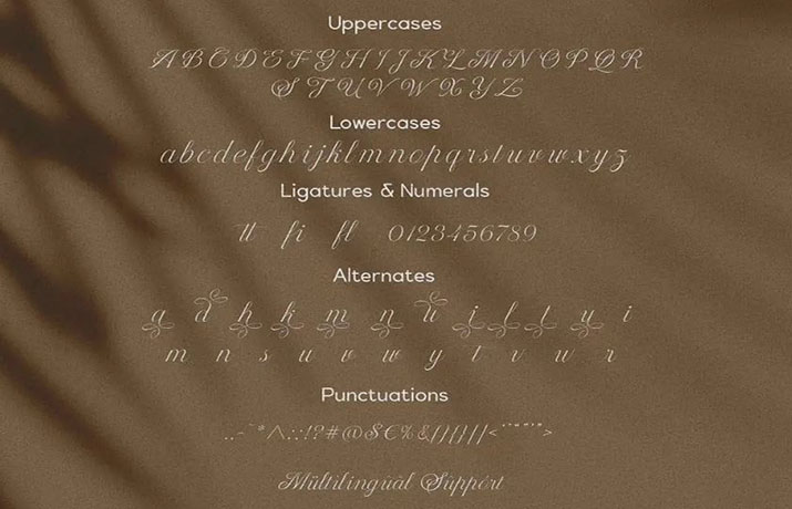Delighted Sunrise Font Free Download