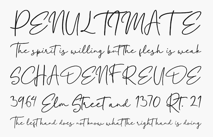 Eleanor Font Family Download