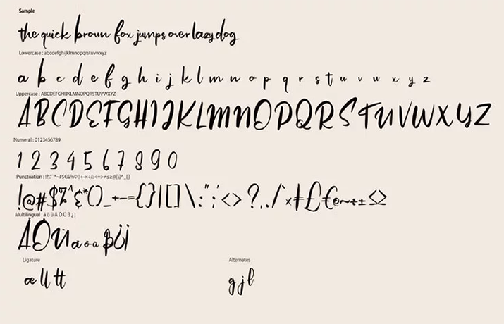 Angolia Font Free Download
