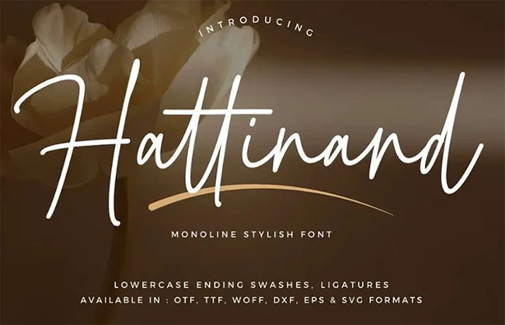 Hattinand Font Family Free Download