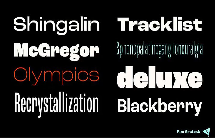 Roc Grotesk Font Free Download
