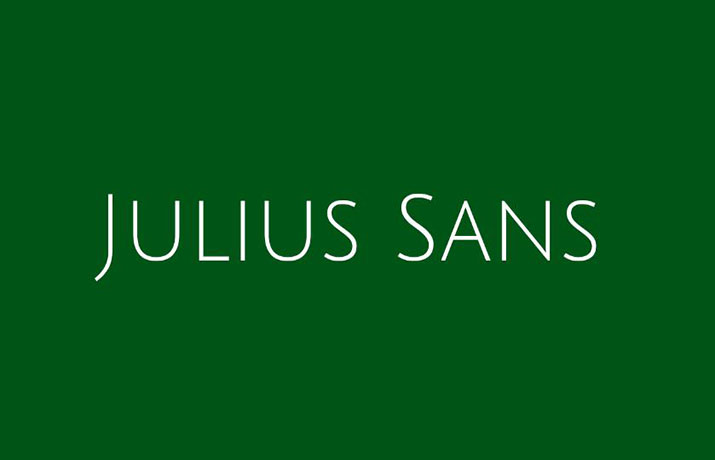 Julius Sans One Font Family Free Download
